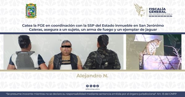 Catean inmueble en San Jerónimo Caleras, había un jaguar