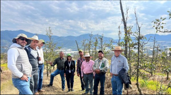 Fortalecen conocimientos productores de manzana de Zacatl&aacute;n
