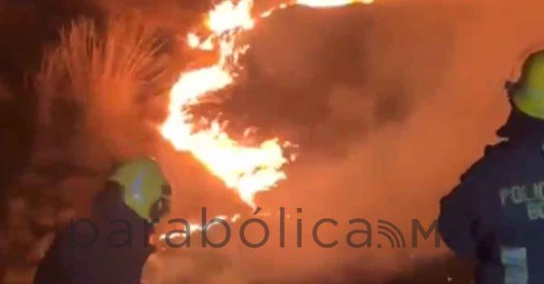 Sofocan incendio en barranca de Bosques de San Sebasti&aacute;n