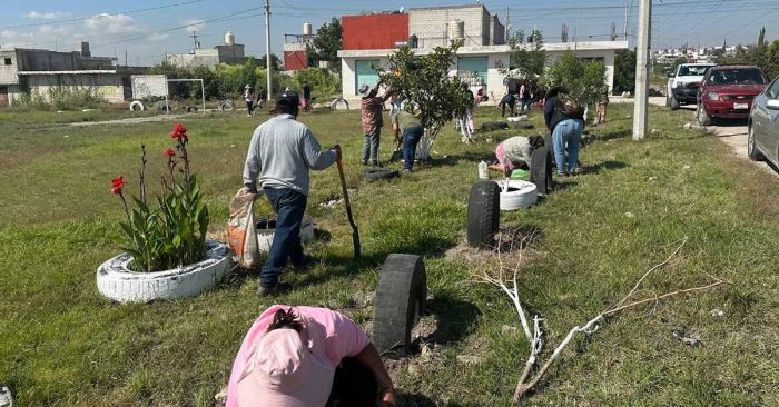 Fortalecen acciones de reforestaci&oacute;n con 2 mil 600 &aacute;rboles