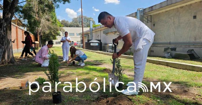 Busca IMSS Puebla prevenir los efectos del golpe de calor