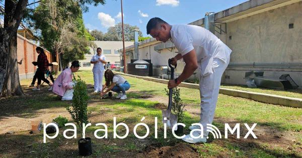 Busca IMSS Puebla prevenir los efectos del golpe de calor