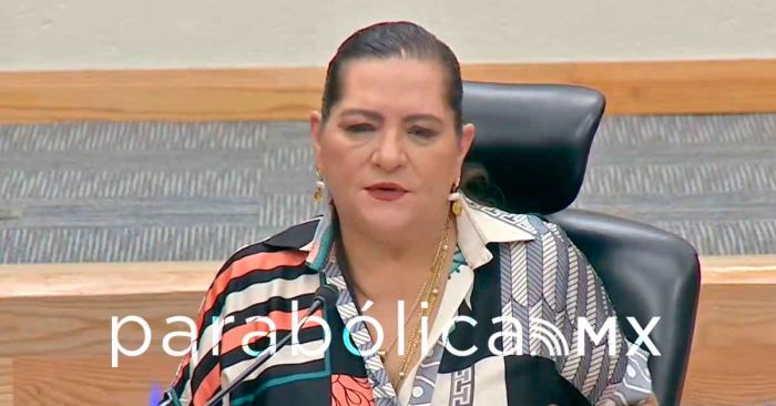 Buscará INE a Pablo Gómez para incidir en la Reforma Electoral: Taddei
