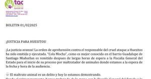 Detienen a “Cola Mocha”, por agredir al perrito “huesitos” en Miahuatlán