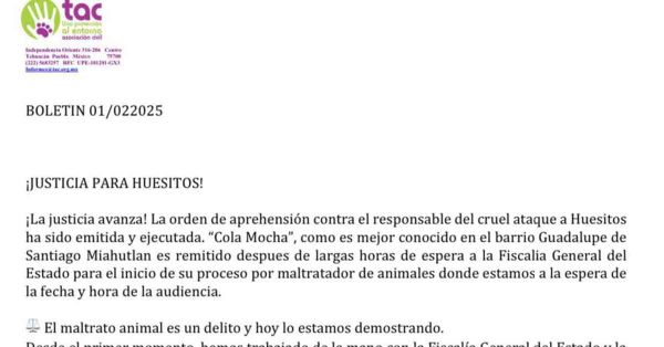 Detienen a “Cola Mocha”, por agredir al perrito “huesitos” en Miahuatlán