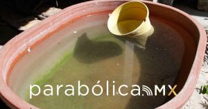 Alerta Atlixco por incremento del dengue por la temporada de calor y lluvias
