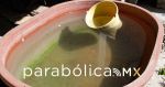 Alerta Atlixco por incremento del dengue por la temporada de calor y lluvias