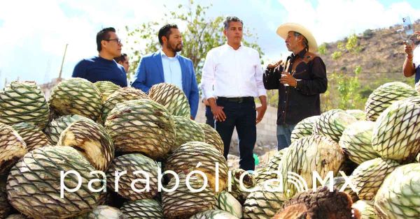 Fortalece ayuntamiento al sector mezcalero con capacitación