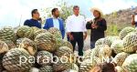 Fortalece ayuntamiento al sector mezcalero con capacitación