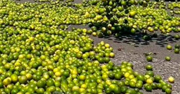 Territorios perdidos