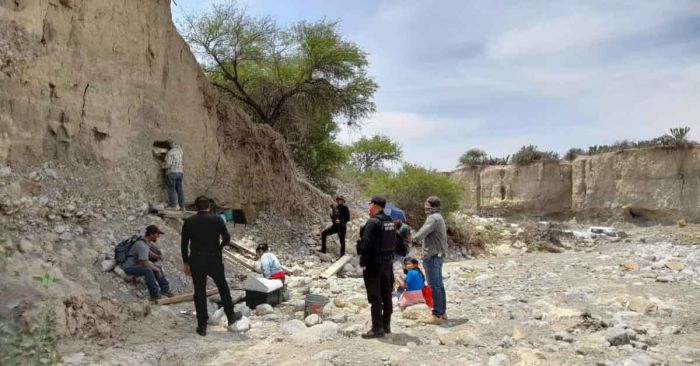 Encuentran posibles restos de mamut en Tamaulipas