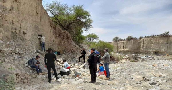 Encuentran posibles restos de mamut en Tamaulipas