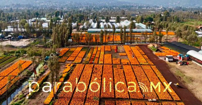 Anuncia CDMX una gran conmemoración del Día de Muertos en el Parque Ecológico de Xochimilco
