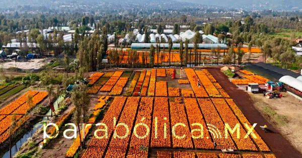 Anuncia CDMX una gran conmemoración del Día de Muertos en el Parque Ecológico de Xochimilco