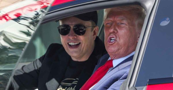 Inminente, salida de Musk del gabinete: Donald Trump