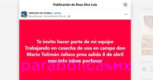Criminalidad y componendas