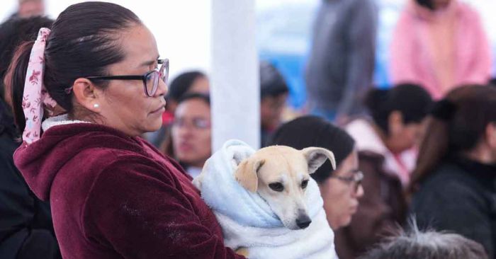 Encabeza Lupita Cuautle nueva Jornada Masiva de Esterilización