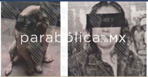 Procesan a mujer acusada de crueldad animal en Castillotla