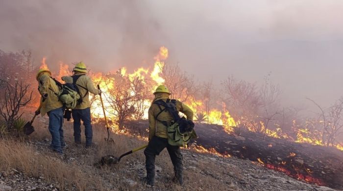 Sofoca Protección Civil estatal incendio forestal en Tehuacán