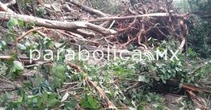 Exhorta la FGE donar v&iacute;veres para damnificados de la Sierra Norte
