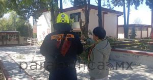 Atiende Protecci&oacute;n Civil Municipal reportes de ca&iacute;da de &aacute;rboles en diversas zonas de la ciudad