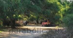 Ejecutan a dos personas en Tepanco de L&oacute;pez; acudieron a dejar pedido de carnitas
