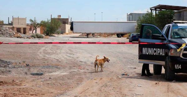 Hallan 381 cuerpos sin cremar en Ciudad Ju&aacute;rez