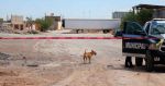 Hallan 381 cuerpos sin cremar en Ciudad Ju&aacute;rez