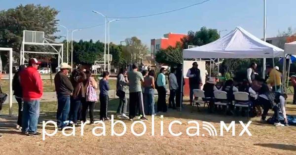 Encabeza Lupita Cuautle la jornada "Adopta un &Aacute;rbol&rdquo;