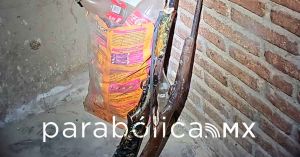 Decomisa FGE armas en Chignahuapan