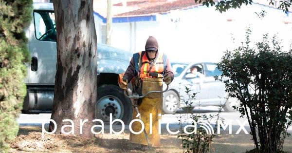 Reciben mantenimiento &aacute;reas verdes del Fraccionamiento Valle Dorado