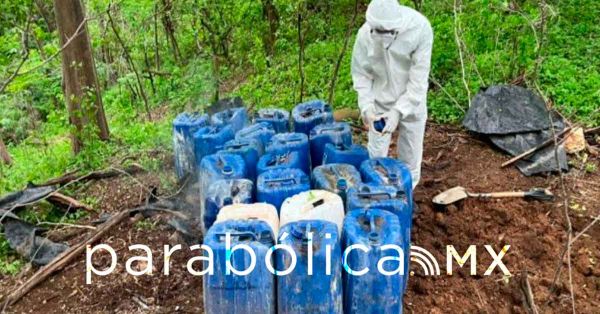 Desmantelan autoridades federales seis narcolaboratorios en Sinaloa