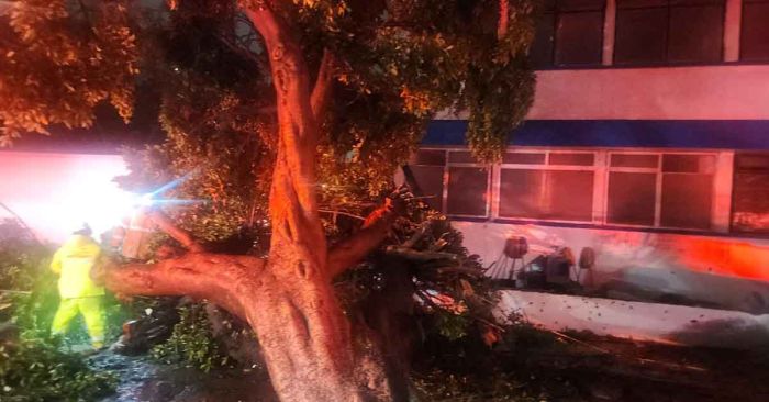Dejan fuertes lluvias viviendas inundadas, caída de árboles y vehículos varados