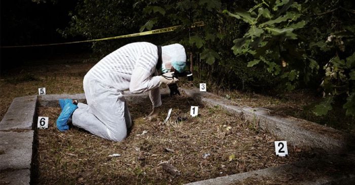 Hallan a un hombre sin vida a un costado de la carretera en Zaragoza