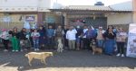 Realizan Jornadas Gratuitas de Esterilizaci&oacute;n para perros y gatos en Amozoc