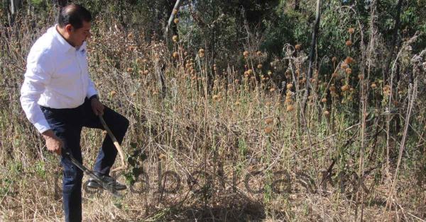Hay colaboración con FGE y Marina por hallazgo de cadáveres en Los Fuertes: Armenta
