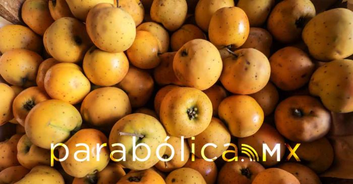 Ofrecerán poblanos sus productos en la Central de Abasto de CDMX: SDR