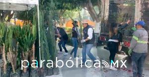 Avanza el programa &ldquo;Adopta un &Aacute;rbol&rdquo; en San Andr&eacute;s Cholula