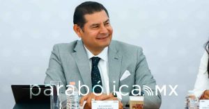 Alista Armenta reforma para permitir el caleo de árboles