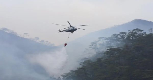 Reportan 96 incendios forestales activos en México