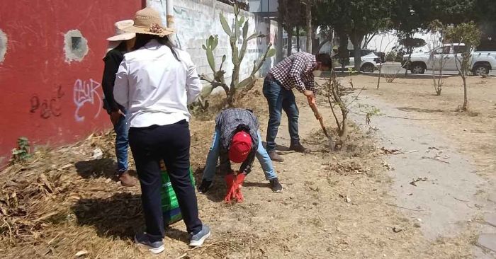 Realiza SMDIF Cuautlancingo faena comunitaria en Reserva Territorial Quetzalcóatl