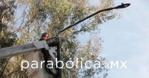 Prioritario, mantenimiento de parques y jardines: Pepe Chedraui