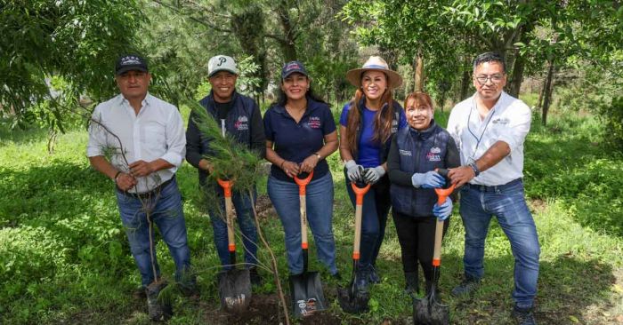 Encabeza Lupita Cuautle jornada de reforestación en cerro de San Miguel