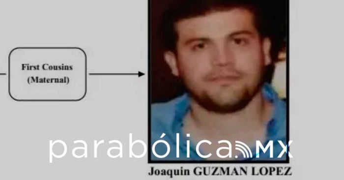Se declara culpable en Estados Unidos Joaquín Guzmán López, hijo del &#039;Chapo’ Guzmán