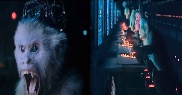 Changuitos y el odio digital: lo que James Gunn nos recordó sobre las redes sociales en Superman
