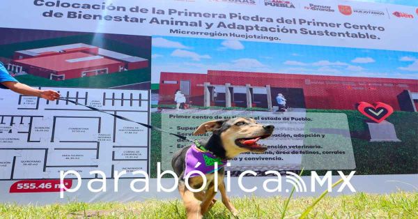Inicia Armenta la construcción del primer Centro de Bienestar Animal en Huejotzingo