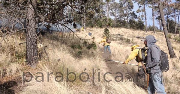 Liquidan al 80% fuego en Libres; avanzan en Tlaxcala al 40%