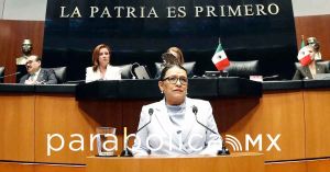 No esperamos que otros países hagan nuestro trabajo: Rosa Icela al Senado