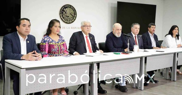 Construir&aacute; Senado nuevo dictamen de la Ley de Telecomunicaciones