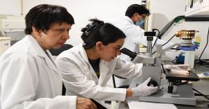 Predicen y describen investigadores BUAP la regeneración epitelial